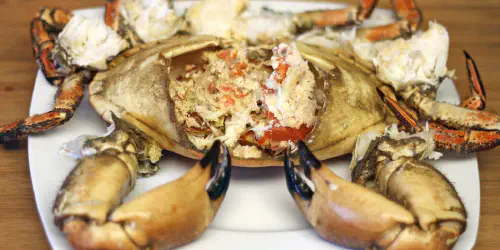 Cómo cocer un buey de mar gallego. Receta de marisco con consejos y trucos para que quede en su punto. Paso a paso, fotos y vídeo de cómo abrir el marisco.