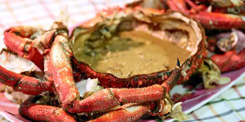 Cómo cocer una centolla o centollo en casa. Los consejos para cocer marisco en casa y que quede perfecto. También cómo abrir y comerlo.